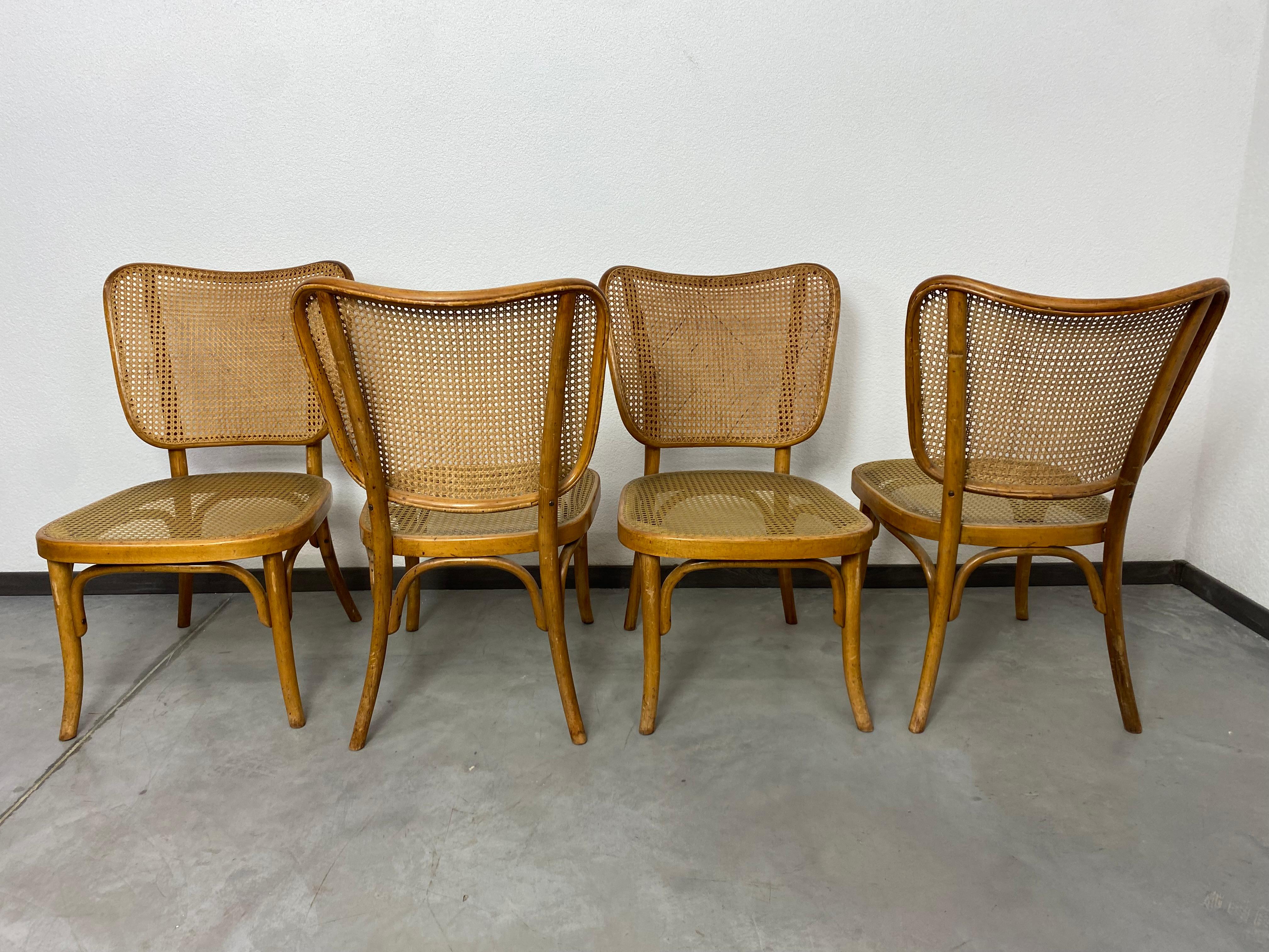 Tchèque Ensemble de 4 chaises modèle A821 d'Adolf Gustav Schneck pour Thonet Mundus en vente
