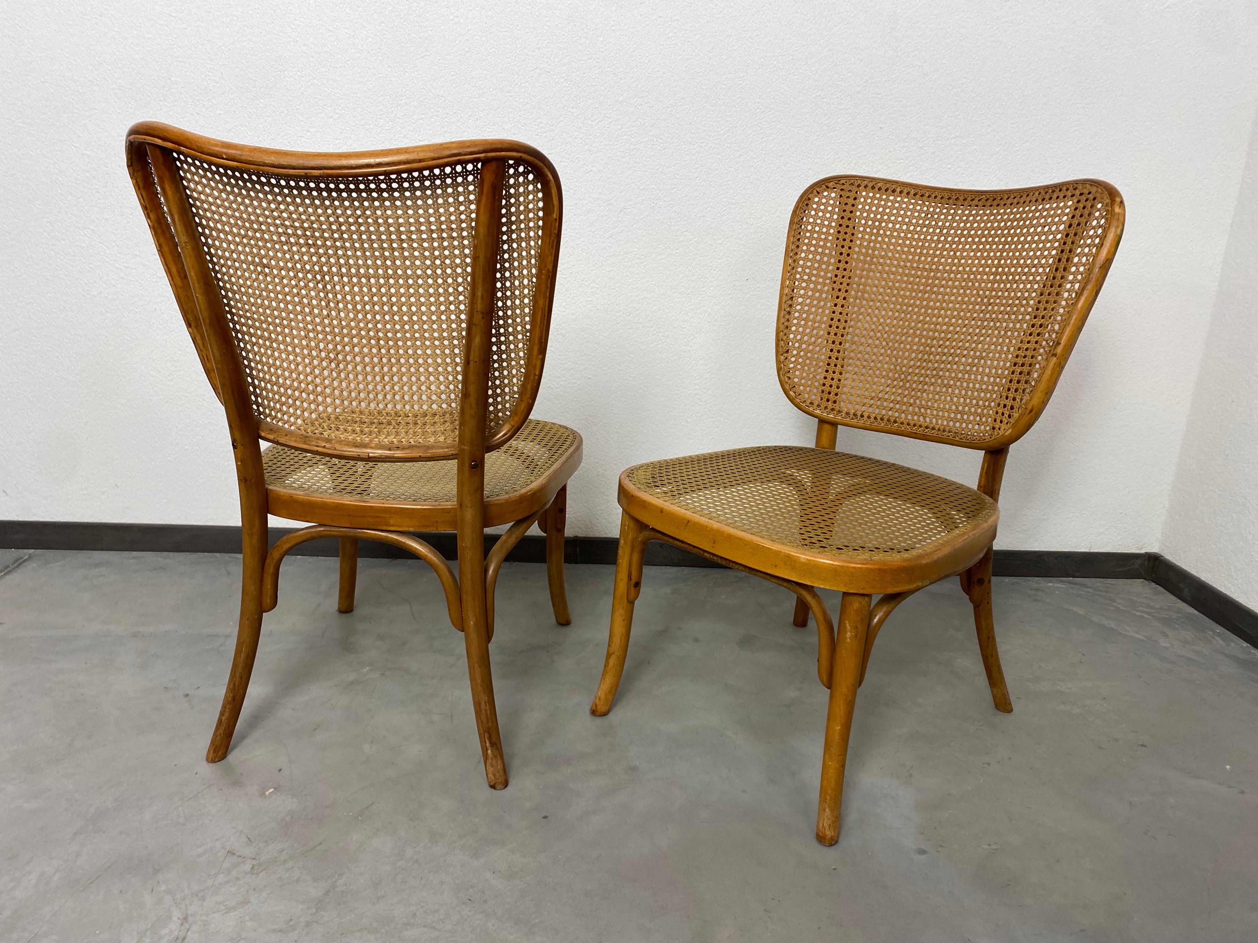 Milieu du XXe siècle Ensemble de 4 chaises modèle A821 d'Adolf Gustav Schneck pour Thonet Mundus en vente