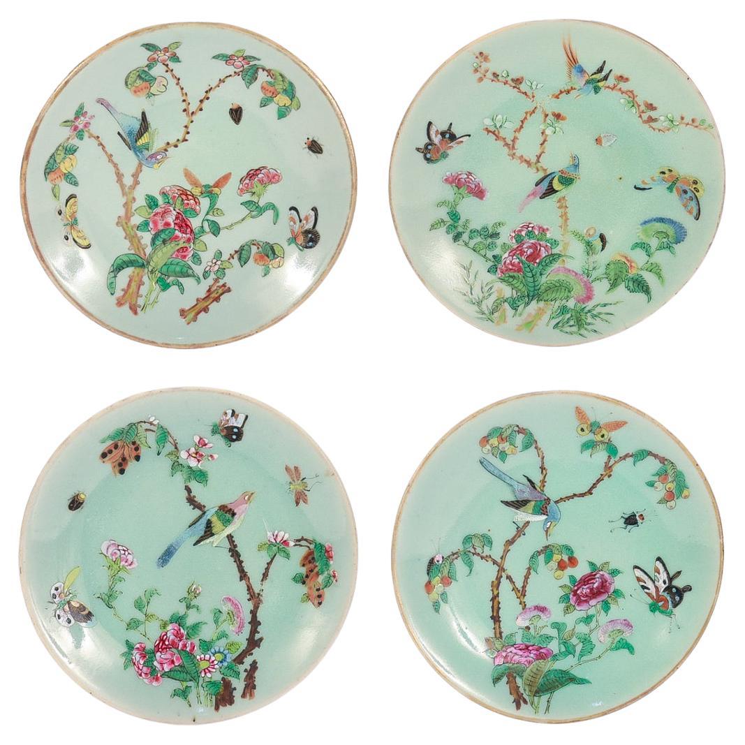 Set of 4 Chinese Export Porcelain Celadon Plates For Sale