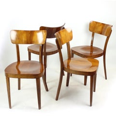 Set Of 4 Classical Tatra Dining Chairs In Walnut, Czechoslovakia 1950s