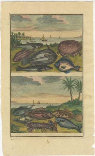 Set of 4 Colored Antique Prints of Various Fishes and Crustaceans, view 3
