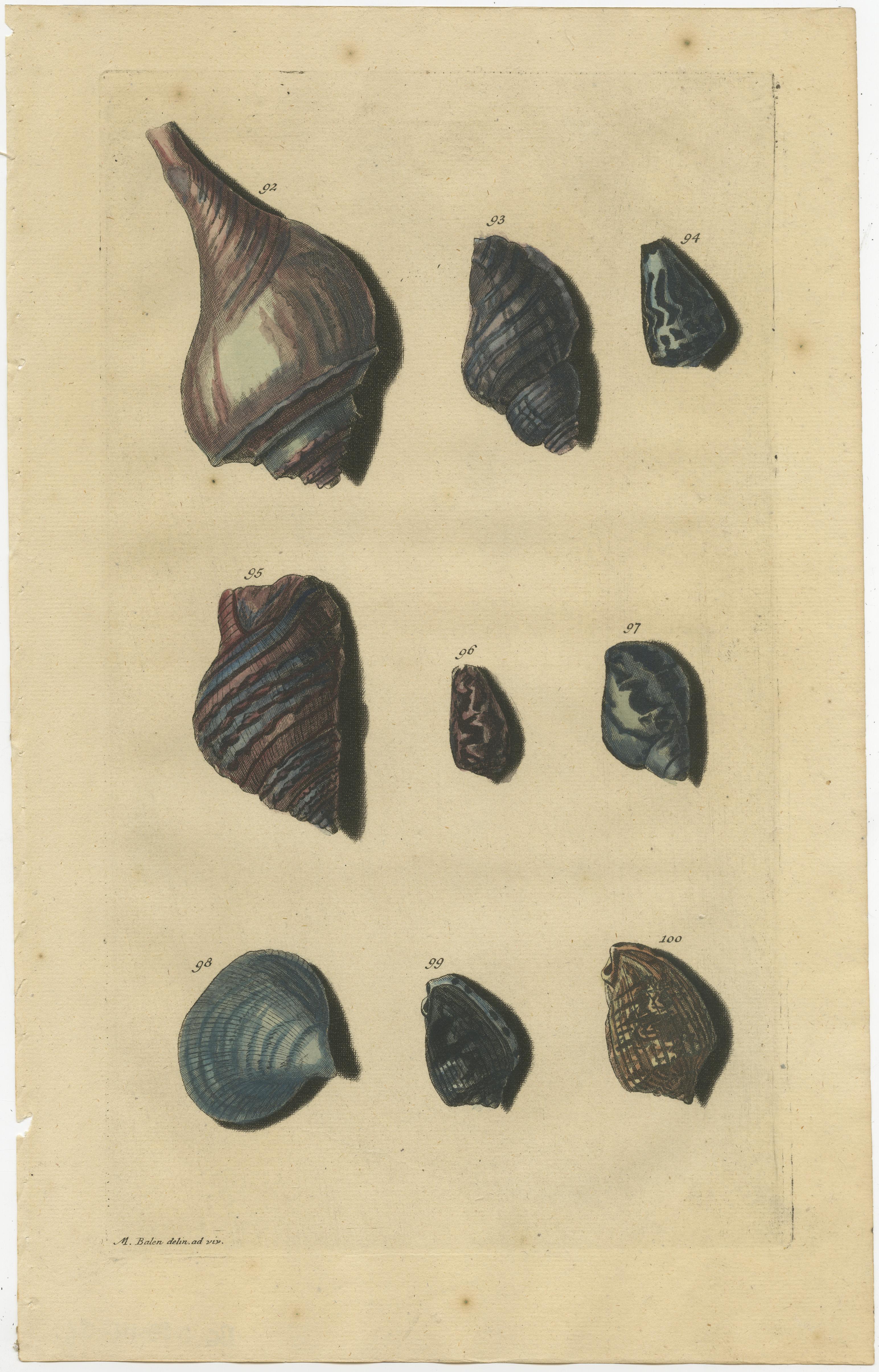 Set of four antique prints of various sea shells and molluscs. These print originate from 'Oud en Nieuw Oost-Indiën' by F. Valentijn.

François Valentyn or Valentijn (17 April 1666 – 6 August 1727) was a Dutch Calvinist minister, naturalist and