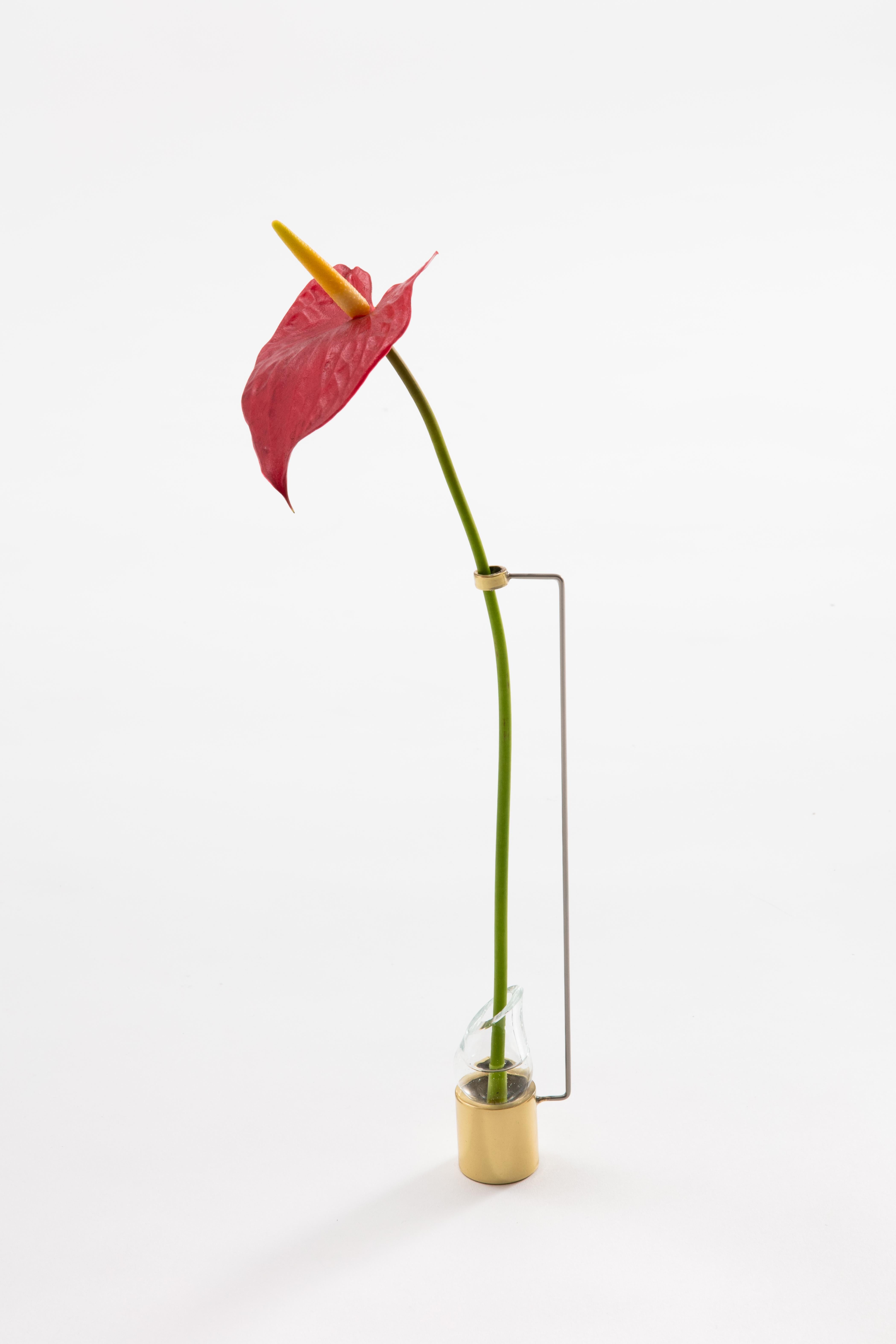 A set of 4 Piccolo vases:
Paulo Goldstein's Piccolo vase, Brazilian contemporary design is part of a series of vases that are inspired in the observation of the natural lines of the flowers and leaves held in them, where the lines of the vases were