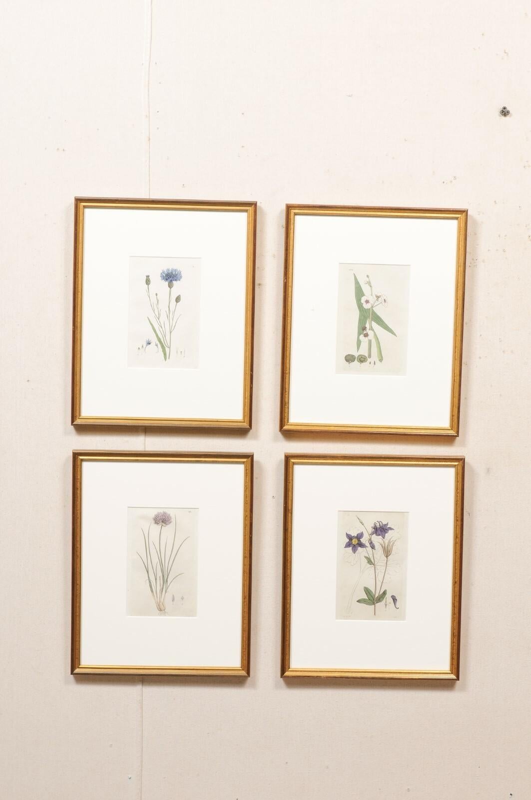 Set of 4 Custom Framed Swedish 18th C. Botanicals For Sale 2