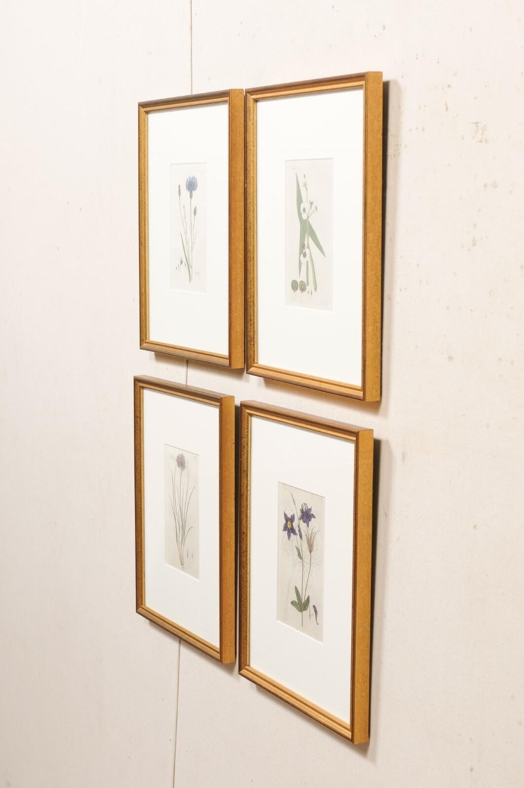 Set of 4 Custom Framed Swedish 18th C. Botanicals For Sale 3