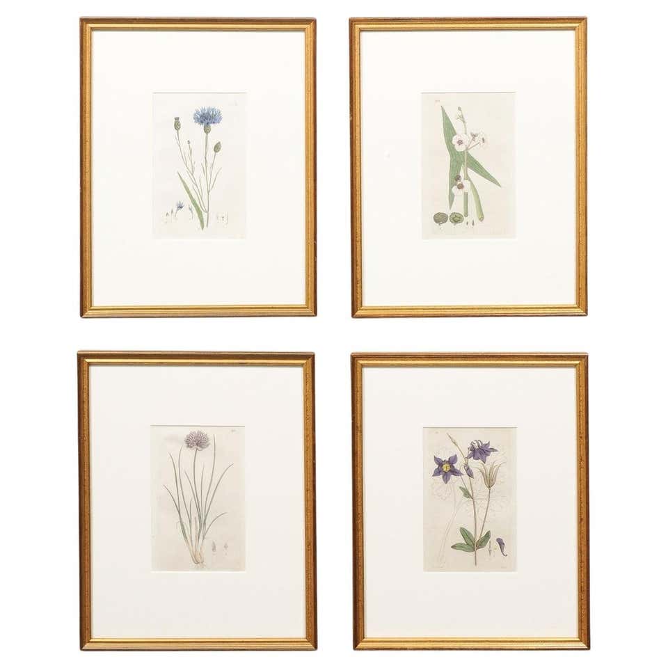 Roman Artifacts Custom Framed Wall Art For Sale At 1stDibs Roman artifacts custom framed wall art for sale at 1stdibs