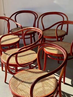 Set of 4 Czech Bentwood and Cane Armchairs, Stickered Stendig