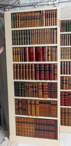 Set of 2 Decorative Faux Book Binding  Doors / Screen