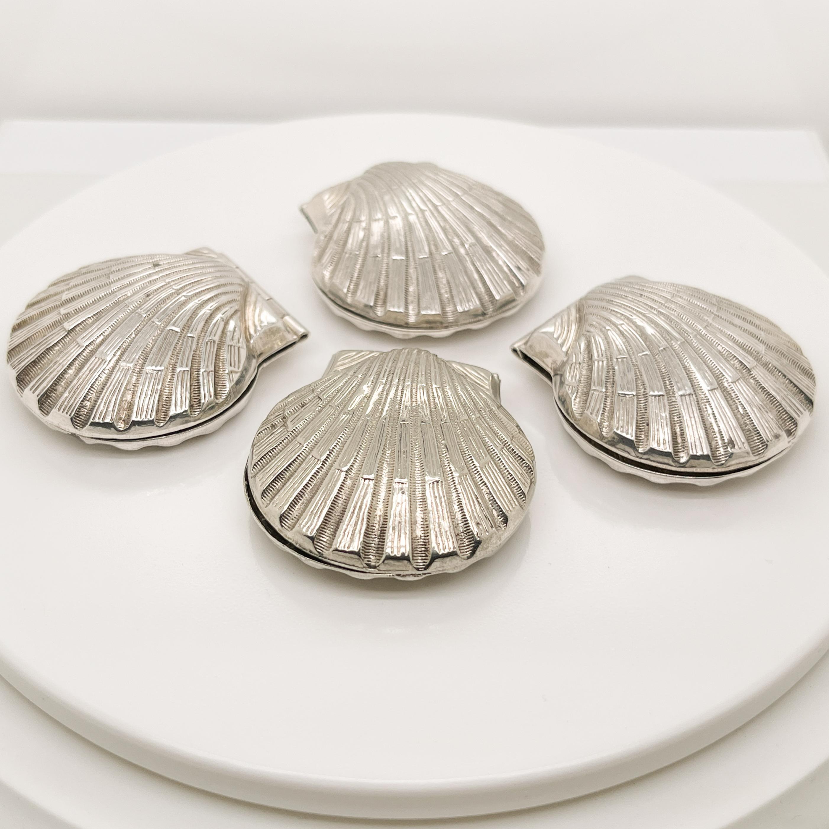 silver sea shells
