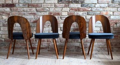 Set of 4 Dining Chairs by A. Šuman in Steel-Blue Velvet by Kvadrat, Midcentury