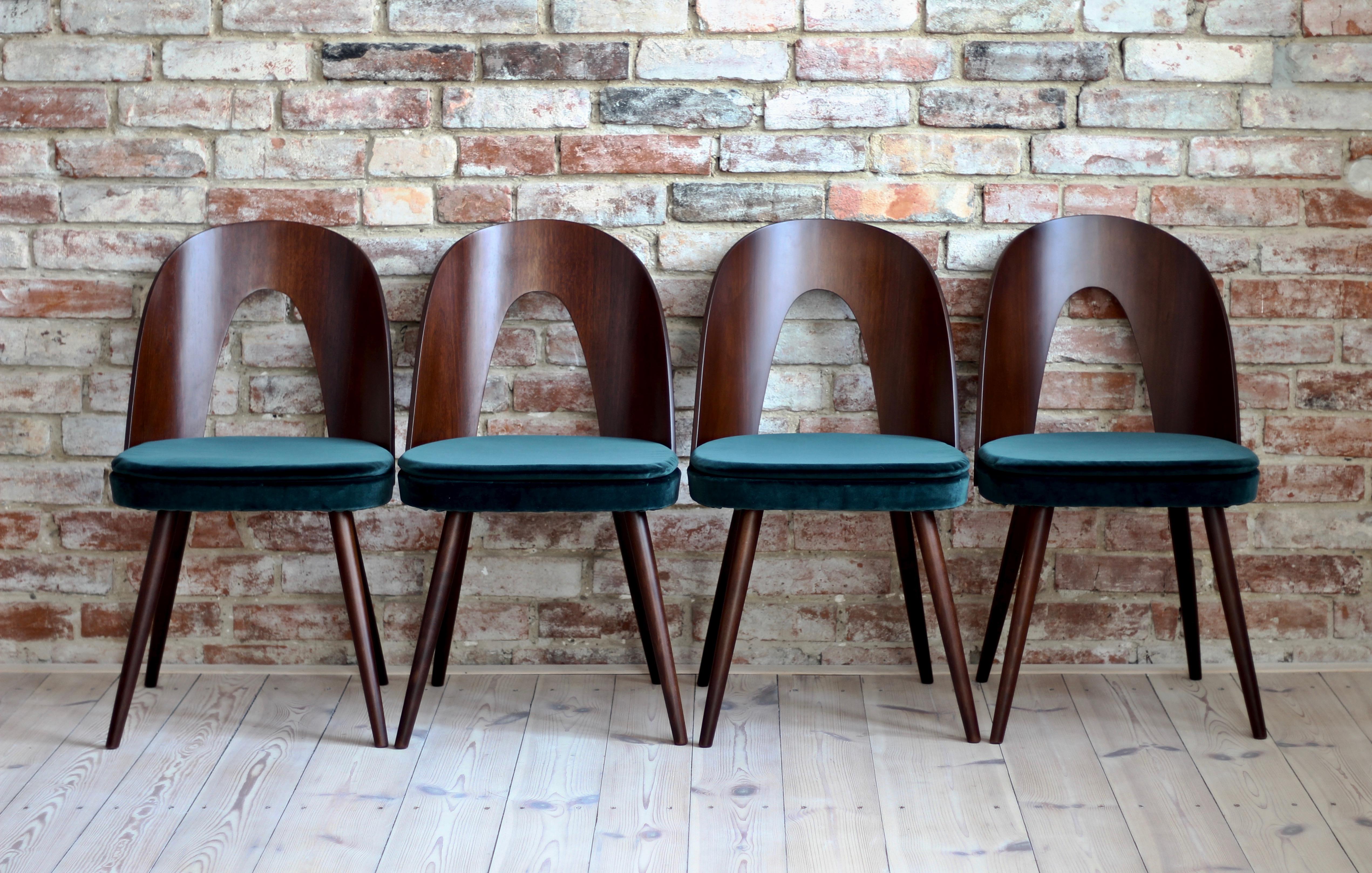 This set of four vintage dining chairs was designed by Czech designer Antonin Šuman in the 1960s. Produced by Tatra Nabytek. The chairs have been completely restored finished in mat lacquer and reupholstered in high-quality fabric from Danish brand