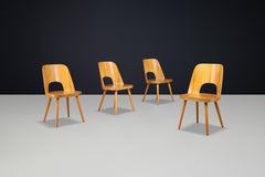 Satz von 4 Esszimmerstühlen von Oswald Haerdtl für Thonet / TON, 1950er Jahre Tschechoslowakei