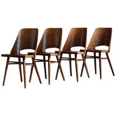 Used Set of 4 Dining Chairs by Radomir Hofman for TON, Model 514, Beech Veneer