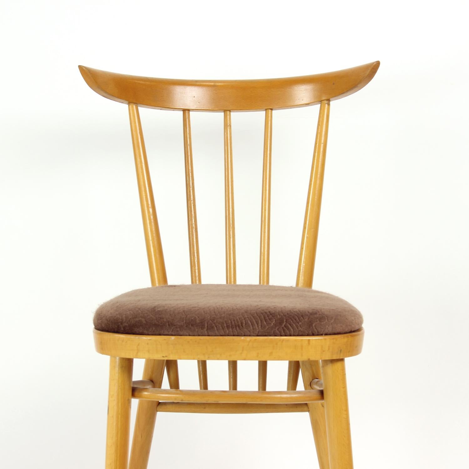 Un magnifique ensemble de quatre chaises de salle à manger produites par la respectable société Tatra en Tchécoslovaquie dans les années 1960. Ces chaises présentent une élégante construction en chêne massif, soulignée par un travail artisanal