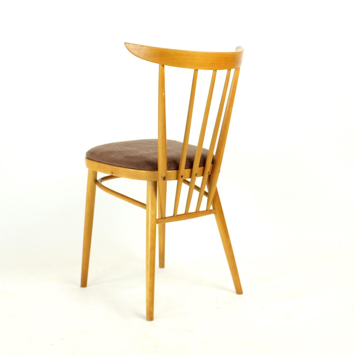 Milieu du XXe siècle Ensemble de 4 chaises de salle à manger par Tatra, Tchécoslovaquie, années 1960 en vente