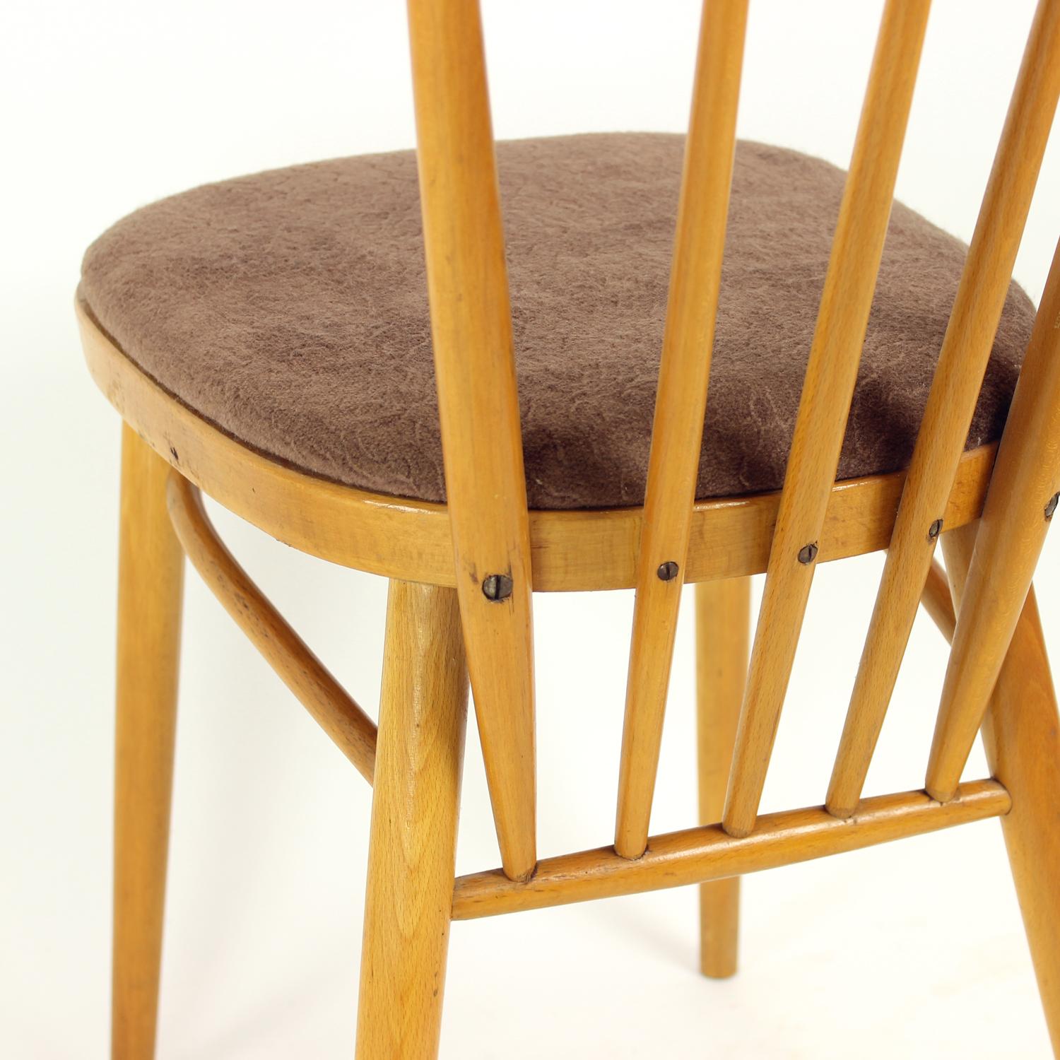 Ensemble de 4 chaises de salle à manger par Tatra, Tchécoslovaquie, années 1960 en vente 1