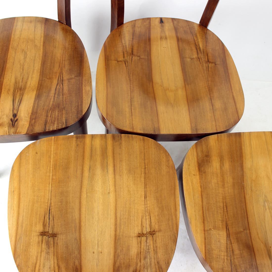 Schöner Satz von vier Holzstühlen, hergestellt in der Tschechoslowakei von der Firma Tatra in den 1950er Jahren. Die Stühle bestehen aus einer Eichenholzkonstruktion mit Sitz und Rückenlehne aus Walnussfurnier. Die schöne Struktur und das Furnier