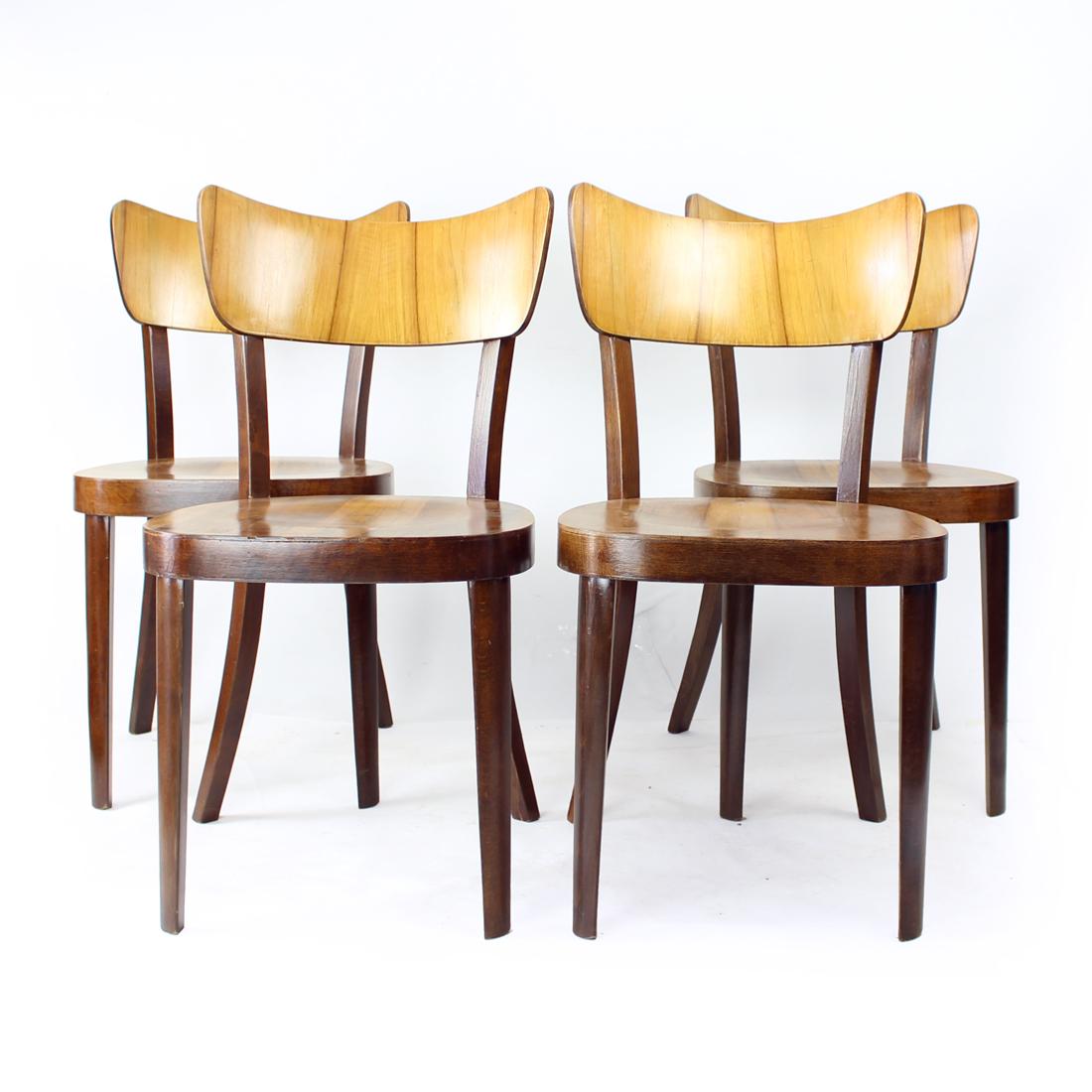 Mid-Century Modern Set Of 4 Dining Chairs By Tatra In Walnut, Czechoslovakia 1950s For Sale