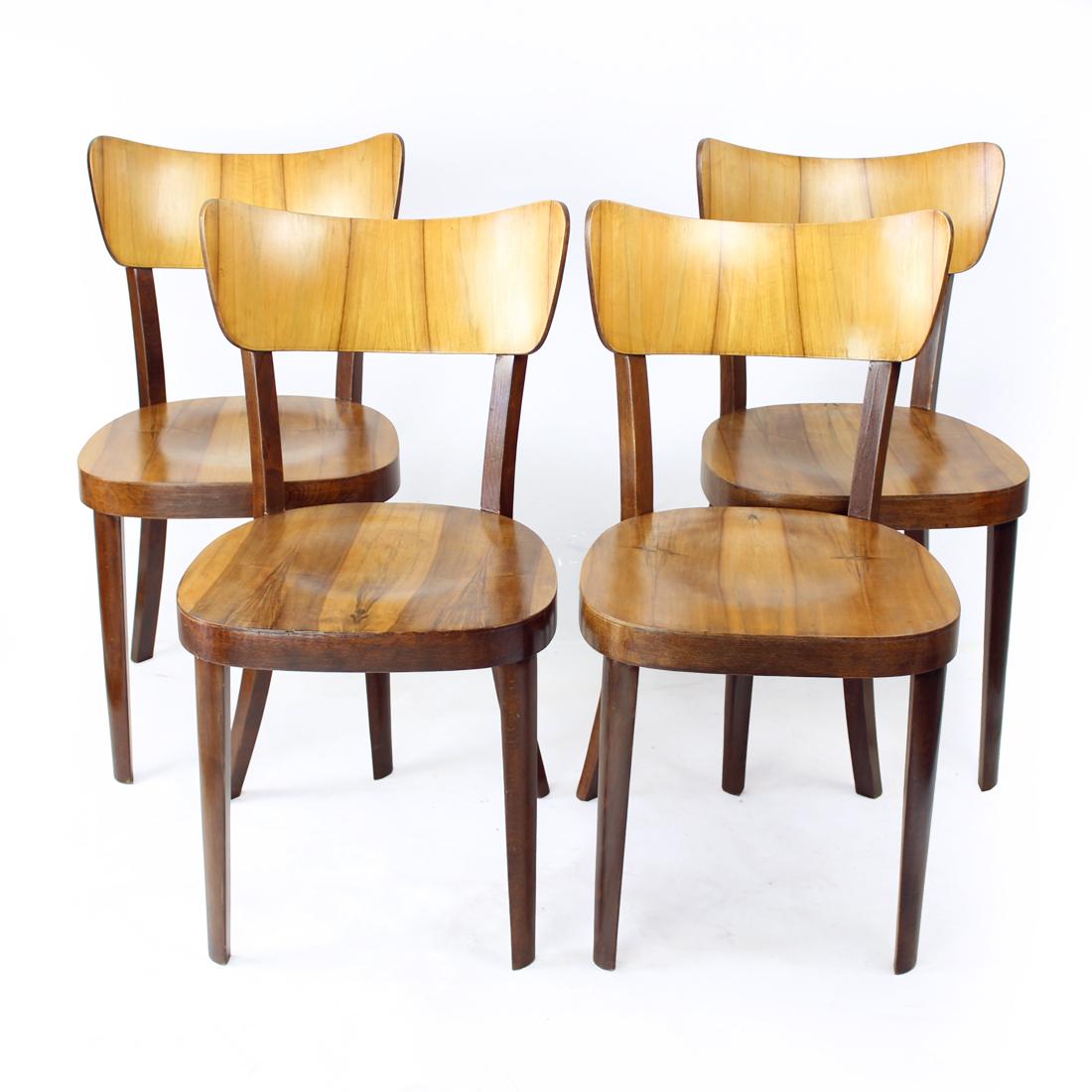 Set Of 4 Dining Chairs By Tatra In Walnut, Czechoslovakia 1950s In Good Condition For Sale In Zohor, SK