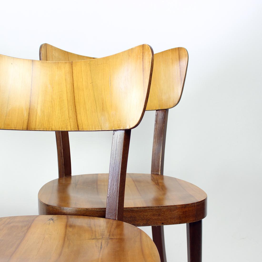 Mid-20th Century Set Of 4 Dining Chairs By Tatra In Walnut, Czechoslovakia 1950s For Sale
