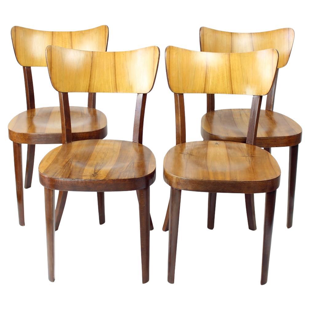 Ensemble de 4 chaises de salle à manger en noyer par Tatra, Tchécoslovaquie, années 1950 en vente