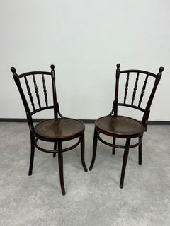 Set of 4 dining chairs by Thonet Mundus