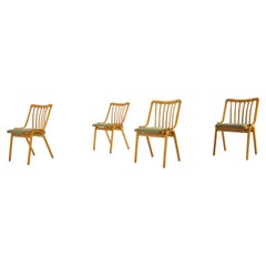 Satz von 4 Esszimmerstühlen Entworfen von Antonín Šuman, 1960er Jahre