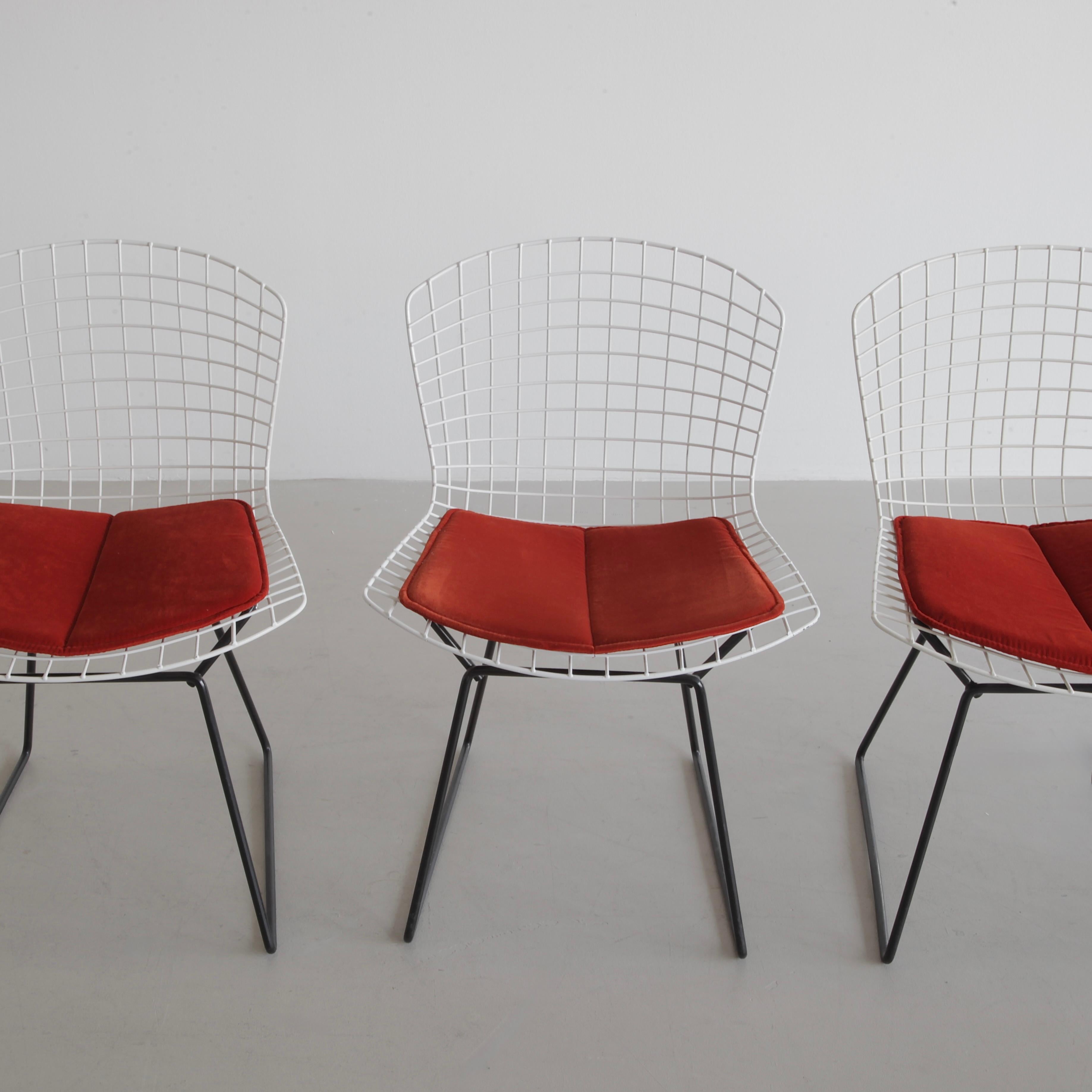 Un ensemble de chaises d'appoint noires et blanches, conçues par Harry Bertoia. États-Unis, Knoll International, 1970.

Ensemble de chaises d'appoint vintage avec des coussins en velours orange brûlé. La chaise d'appoint Bertoia, conçue à l'origine