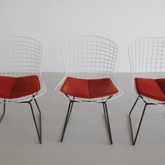 Set di 4 sedie da pranzo disegnate da Harry Bertoia per Knoll International, anni '70