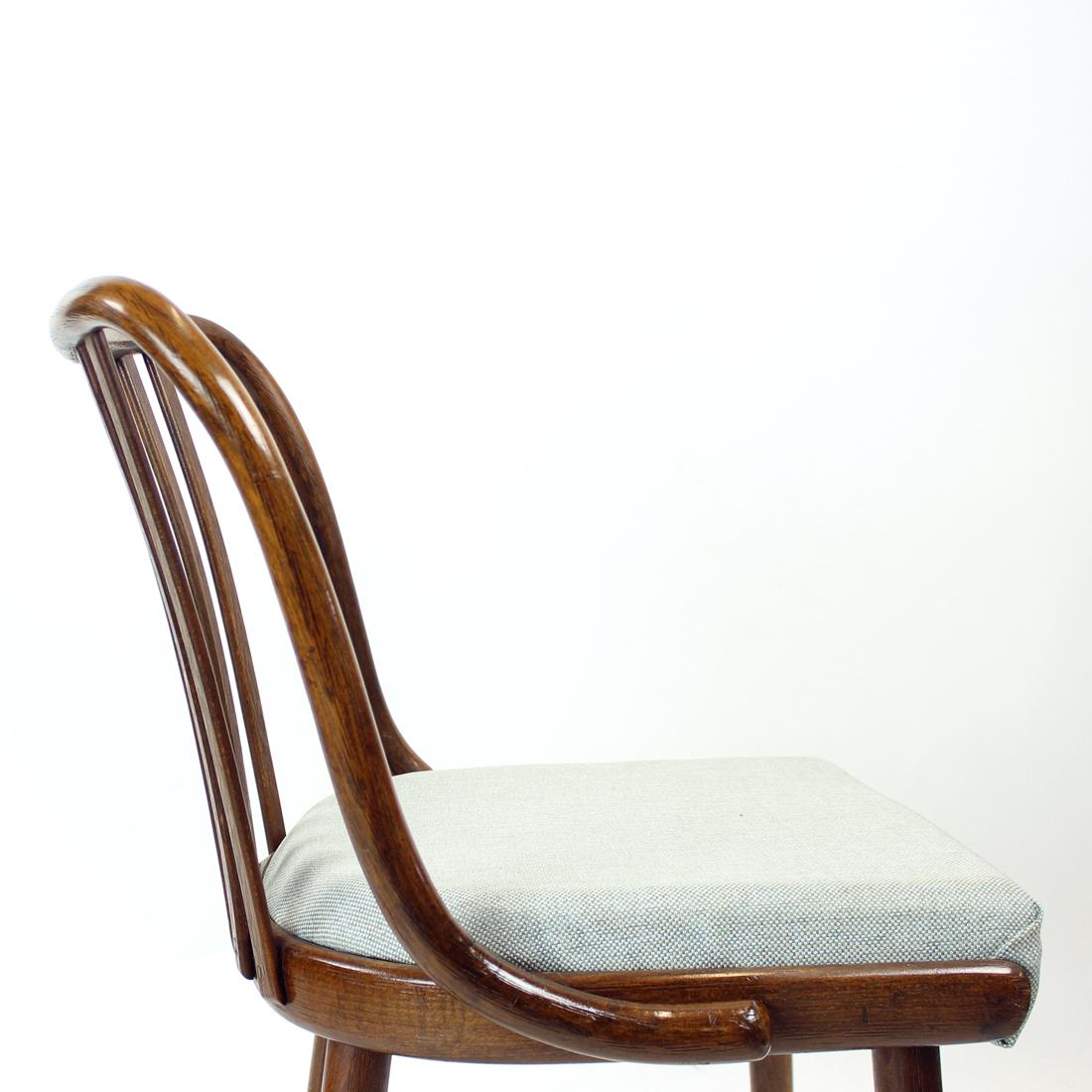 Mid-20th Century Set Of 4 Dining Chairs In Bent Dark Oak By Jitona, Czechoslovakia 1960s For Sale