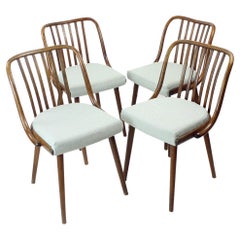 Set of 4 Dining Chairs in Bent Dark Oak by Jitona, Czechoslovakia, 1960s