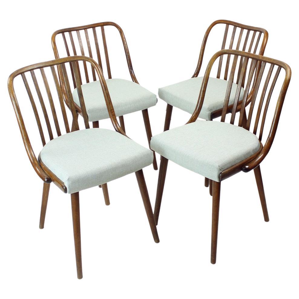 Ensemble de 4 chaises de salle à manger en chêne foncé cintré de Jitona, Tchécoslovaquie, années 1960 en vente