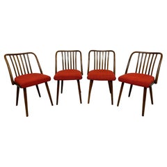 Set of 4 dining room chairs by Antonín Šuman for TON