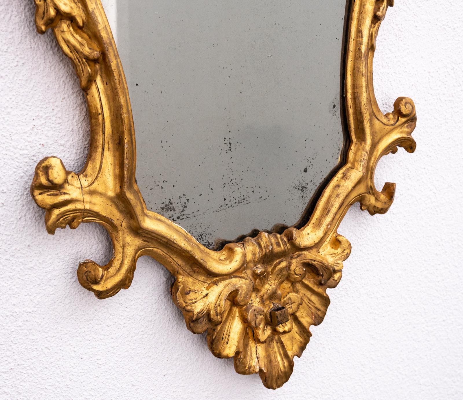 Set of 4 Eighteenth Century Tuscan Gilt-Wood Mirrors 3