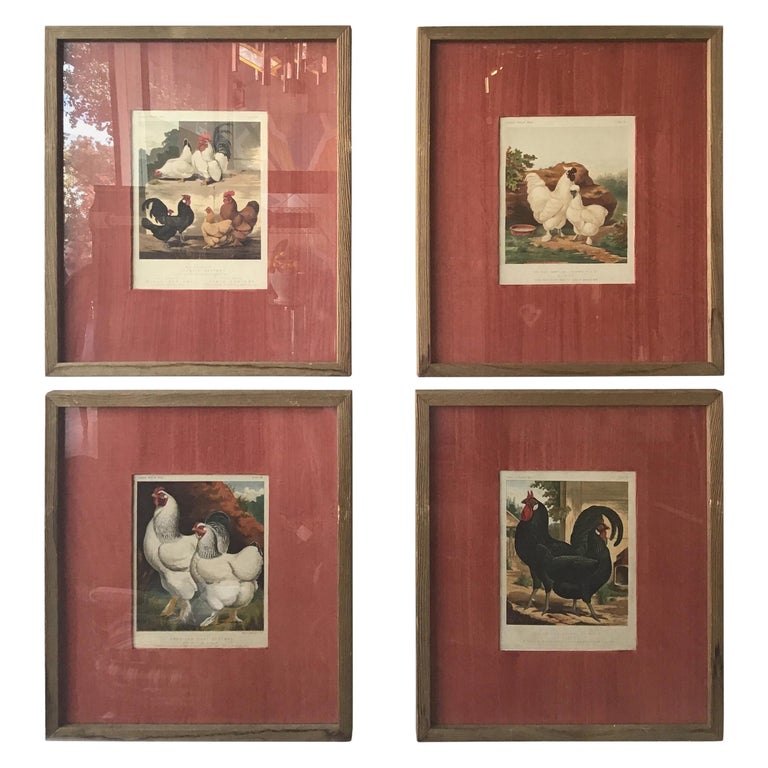 Set of 4 English 1880s Cassell Lithographs of Chickens For Sale at 1stDibs