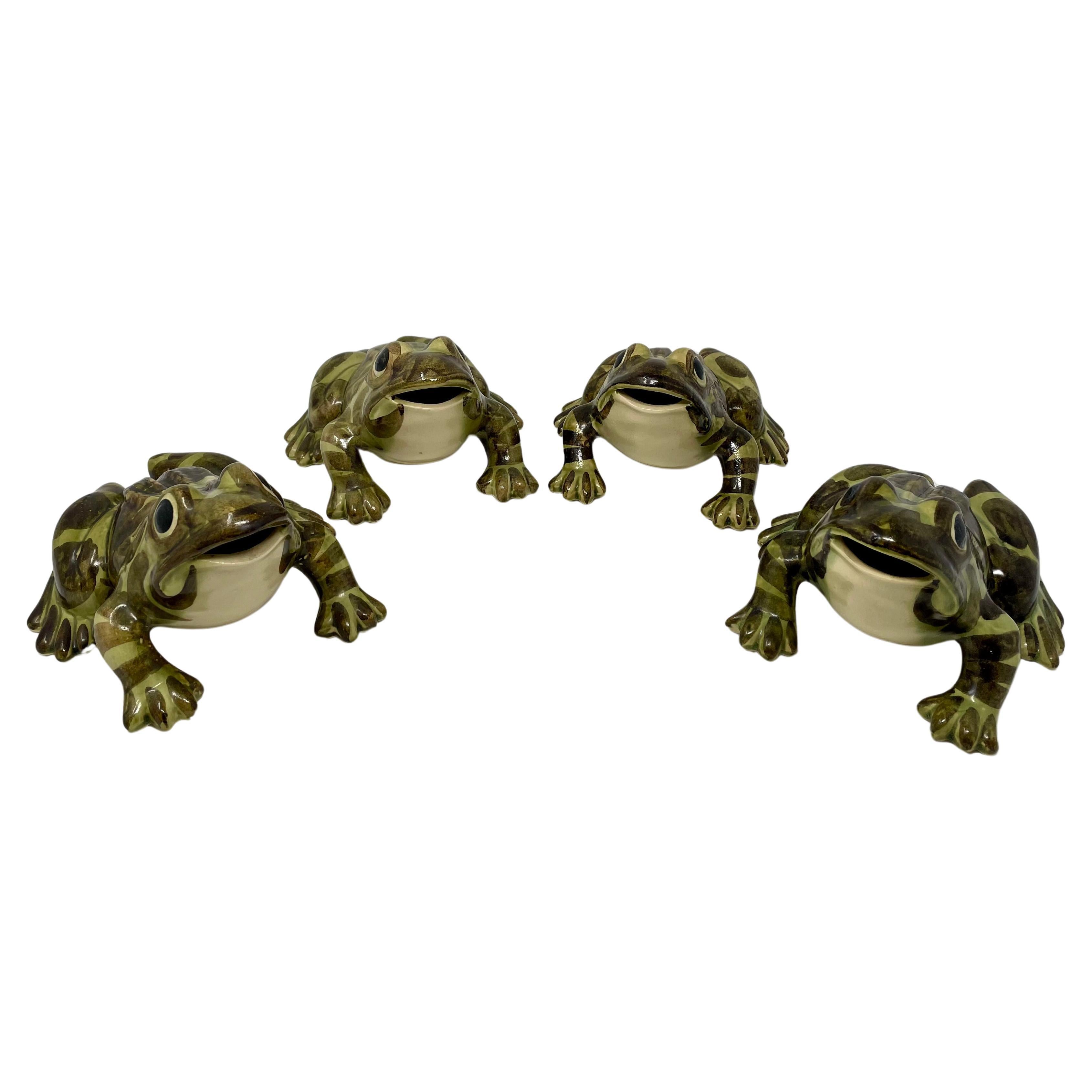 brush mccoy frog