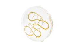 Ensemble de 4 œuvres d'art sculpturales abstraites en techniques mixtes Eva Petric, intitulées : Webs Series