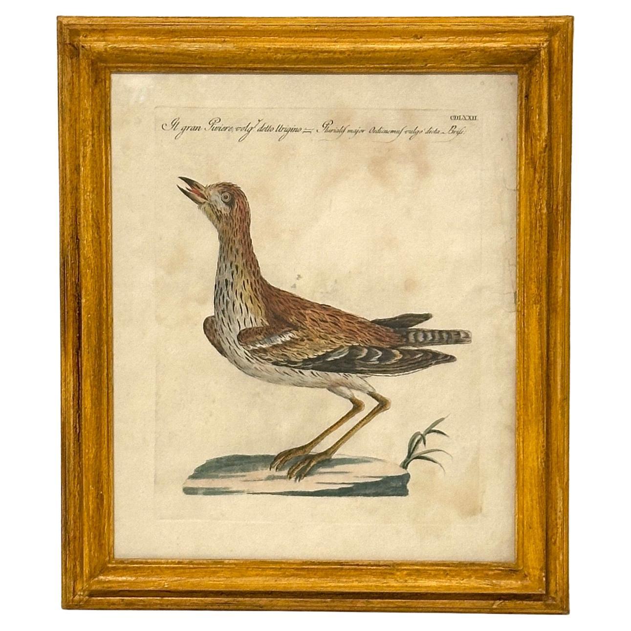 italien Ensemble de 4 gravures aériennes anciennes peintes à la main encadrées par Saverio Manetti en vente