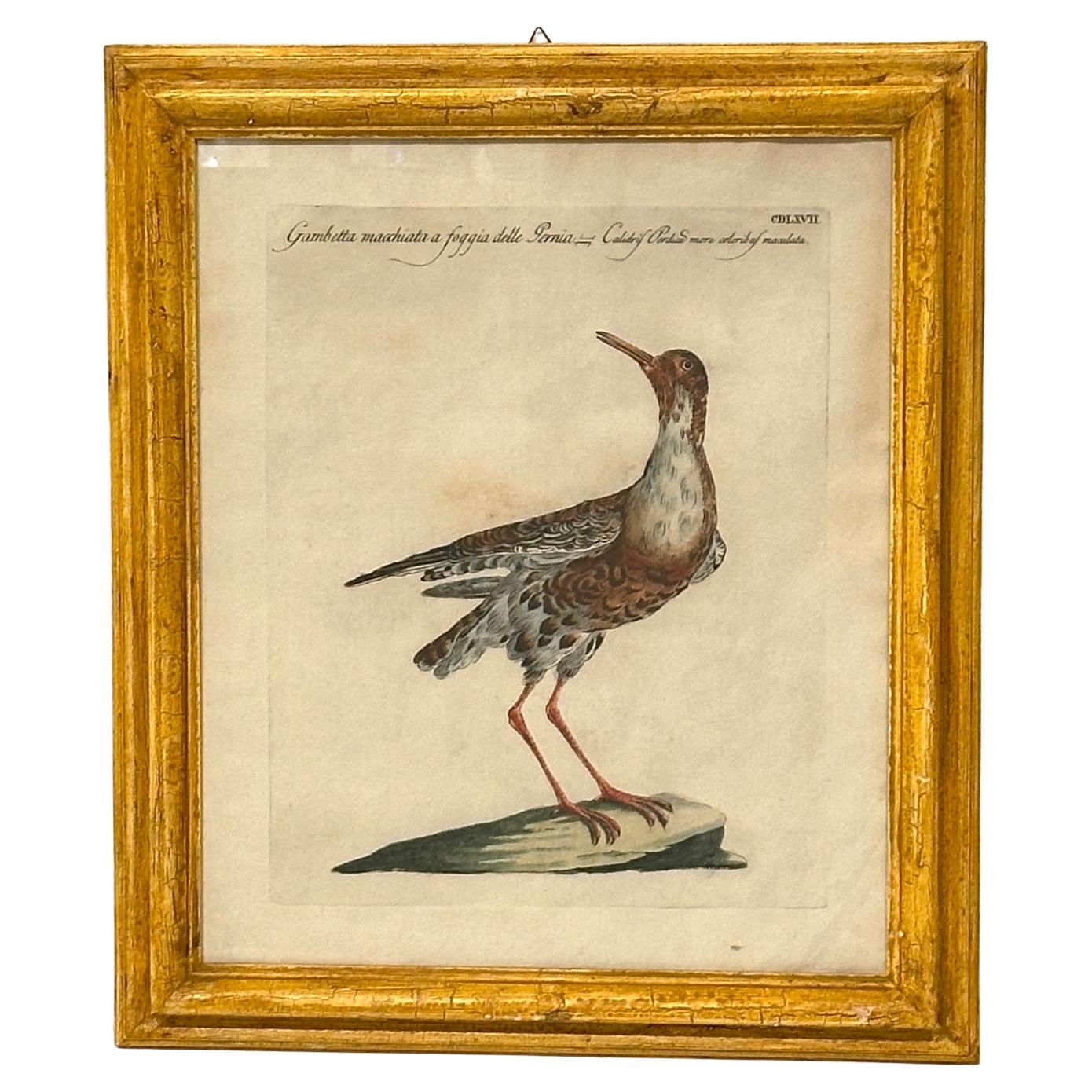 Ensemble de 4 gravures aériennes anciennes peintes à la main encadrées par Saverio Manetti Bon état - En vente à Los Angeles, CA