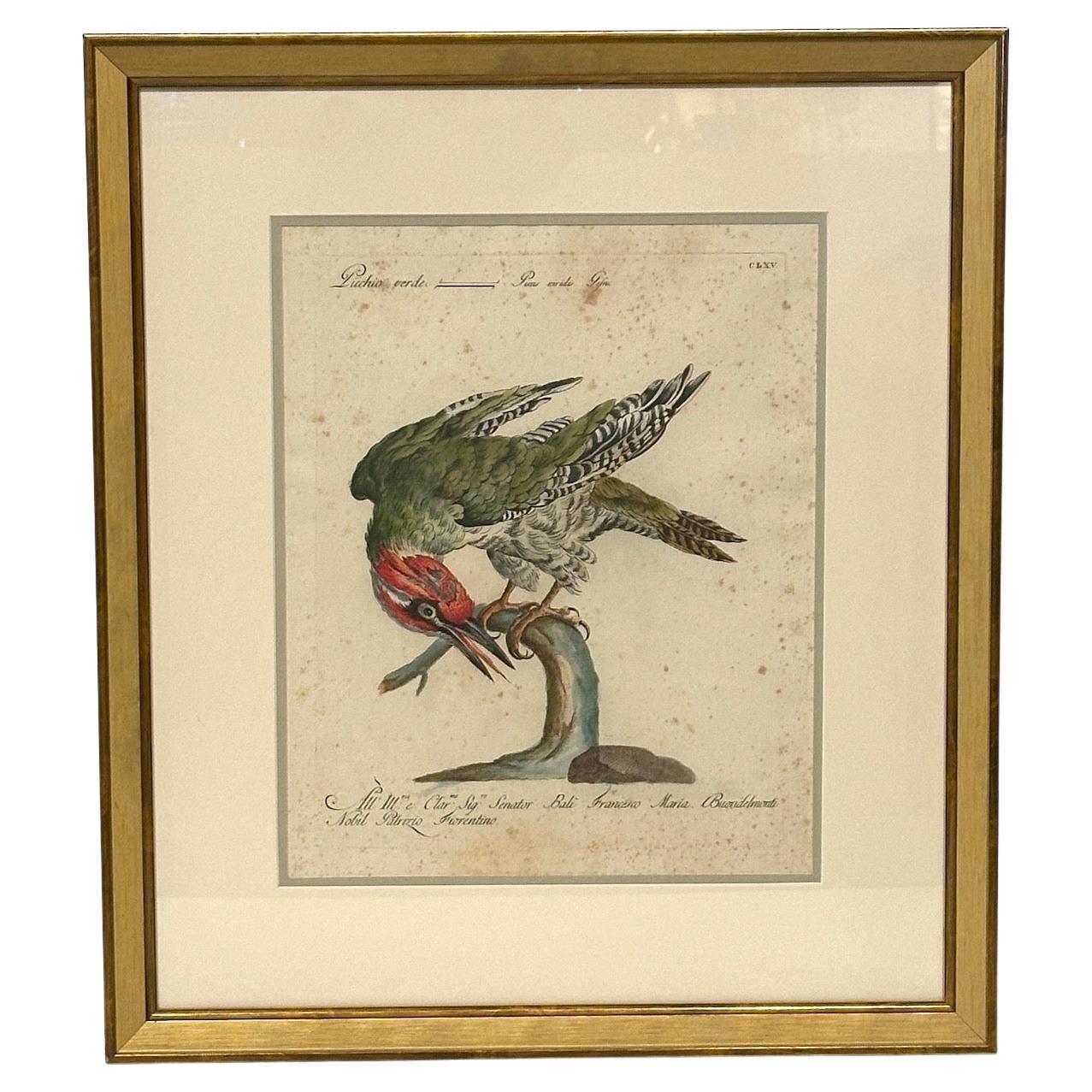 italien Ensemble de 4 gravures anciennes peintes à la main encadrées par Saverio Manetti en vente