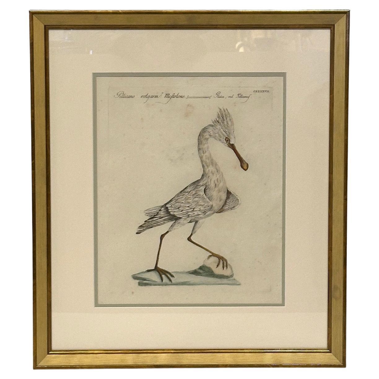 Ensemble de 4 gravures anciennes peintes à la main encadrées par Saverio Manetti Bon état - En vente à Los Angeles, CA