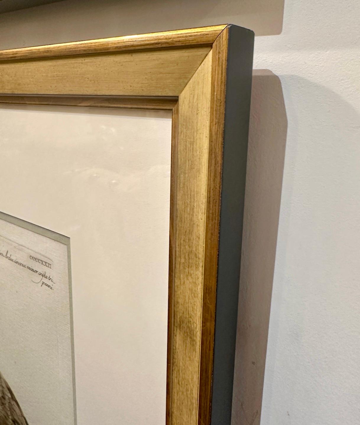 XVIIIe siècle Ensemble de 4 gravures anciennes peintes à la main encadrées par Saverio Manetti en vente