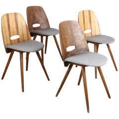 Set of 4 Frantisek Jirak Lollipop Dining Chairs with Walnut Veneer for Tatra