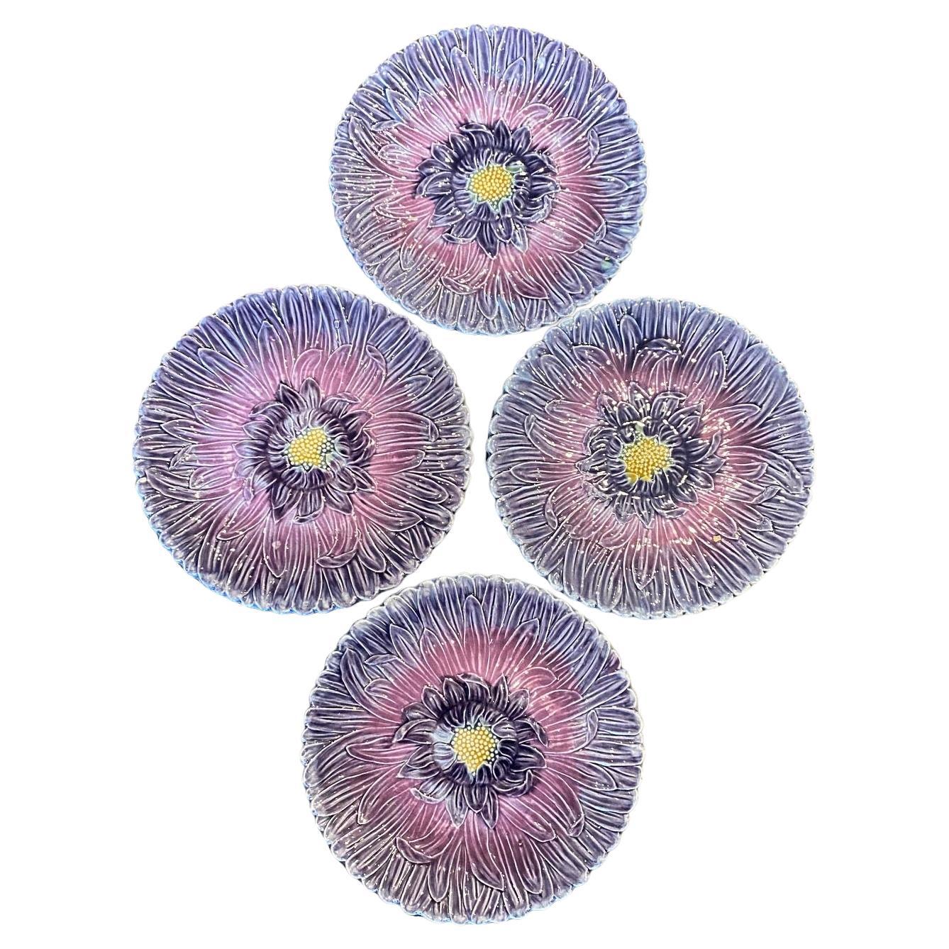 Ensemble de 4 assiettes à marguerite en majolique française Art Nouveau par Orchies