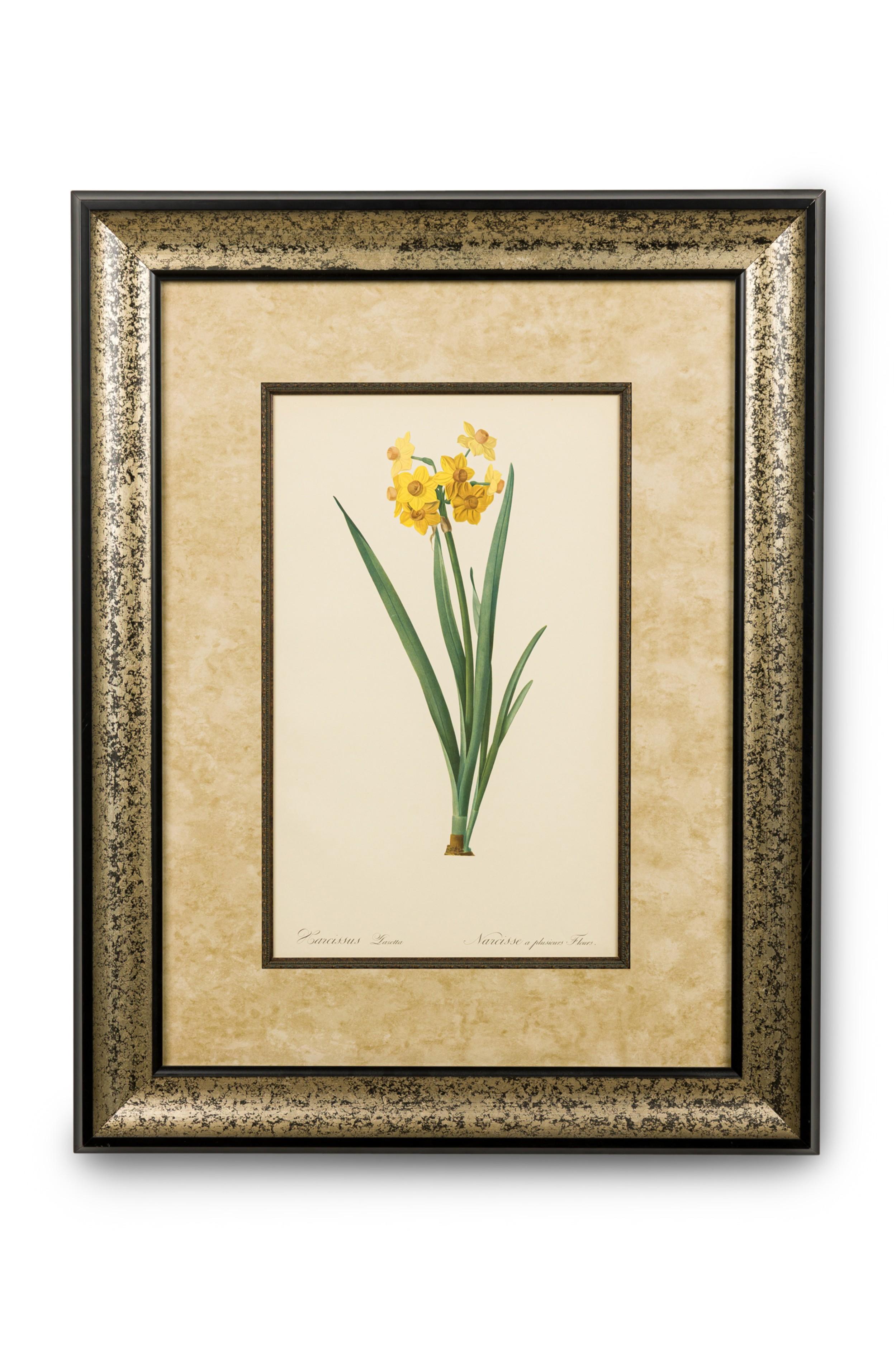 Set von 4 französischen viktorianischen farbigen Drucken mit Iris-Blumenblumendrucken (Französisch) im Angebot