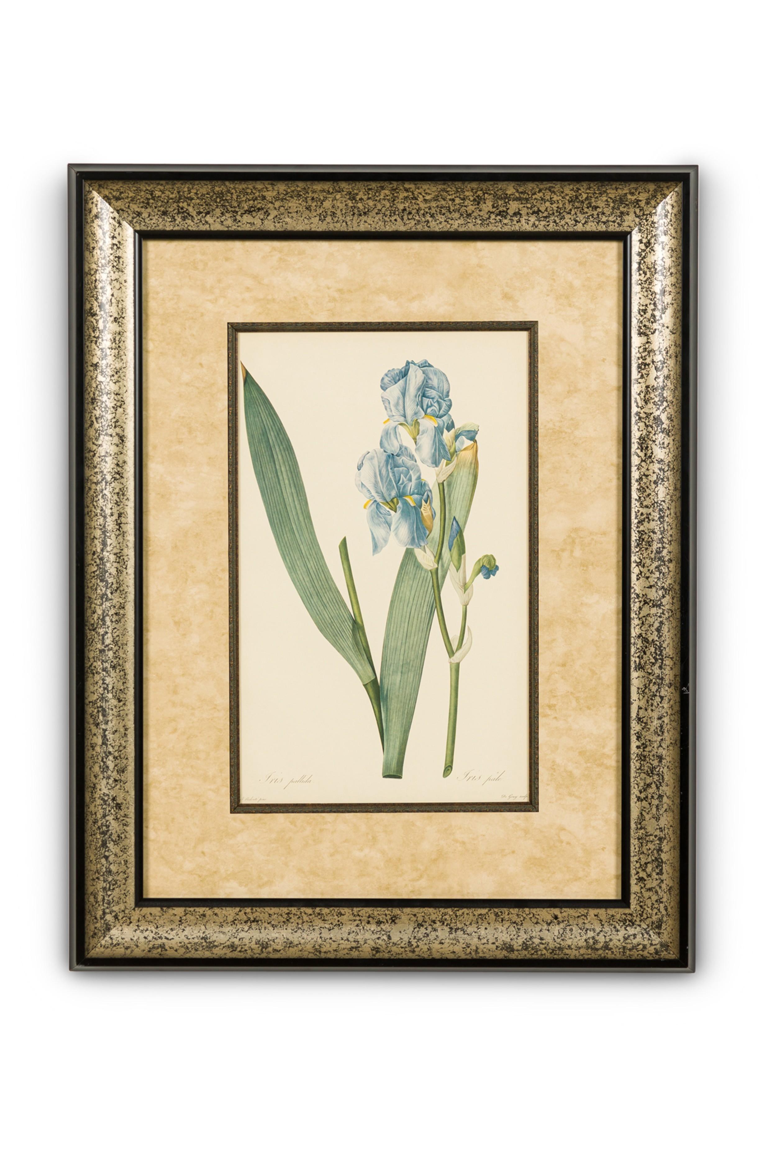 Set von 4 französischen viktorianischen farbigen Drucken mit Iris-Blumenblumendrucken (Handgefertigt) im Angebot