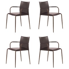 Set of 4 Gazzella Armchairs by Tom Kelley for Enrico Pellizzoni