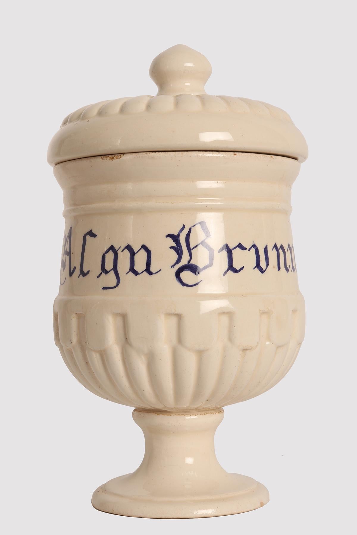 Set of 4 herbalist pharmacy ceramic jars, Italy 1890. For Sale 1