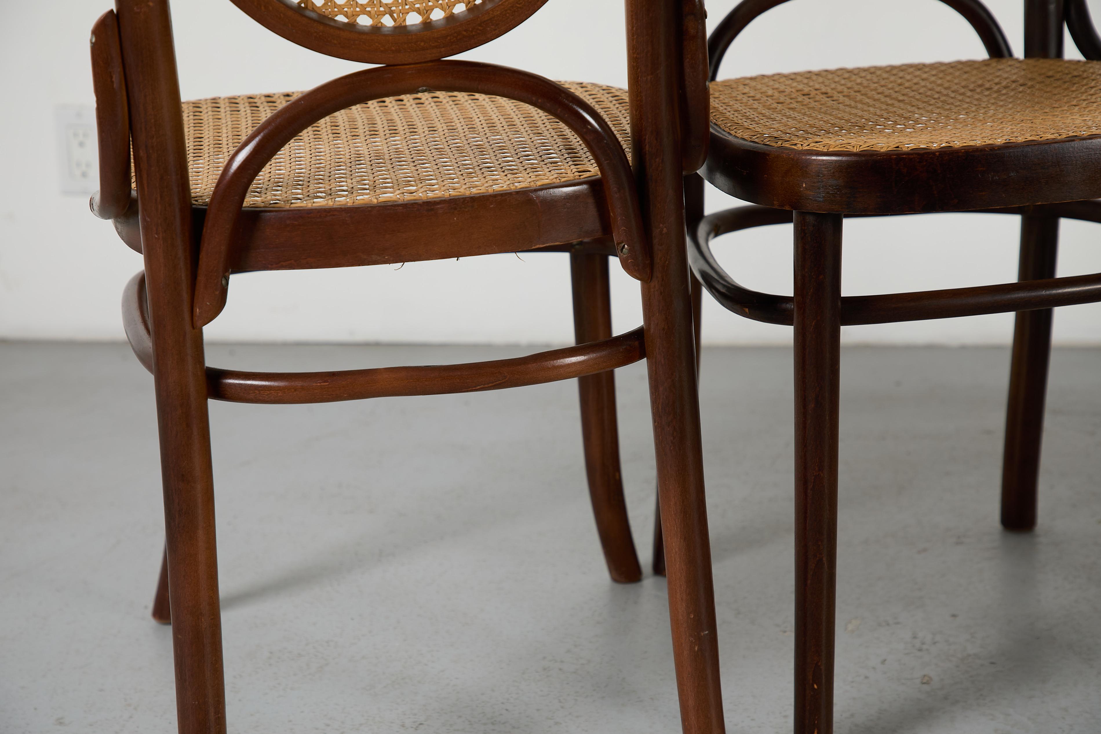 Set aus 4 Thonet Stühlen mit hoher Rückenlehne und Rohrsesseln im Angebot 8