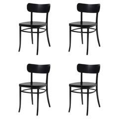 Set di 4 sedie Iconic Black Stained MZO in legno di faggio di Mazo Design